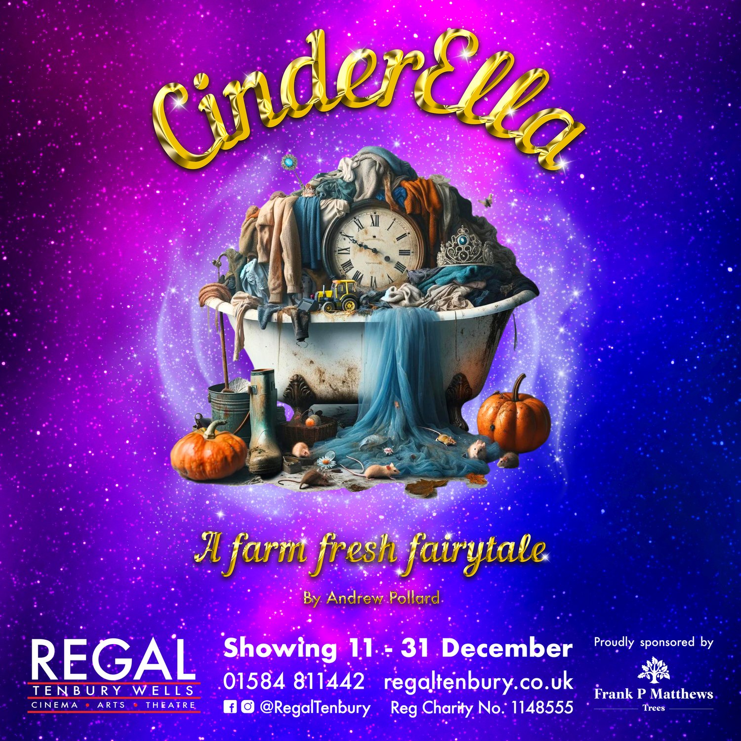 HALF PRICE Adult Ticket to see CinderElla at the Regal Tenbury | WAS £20 NOW £10