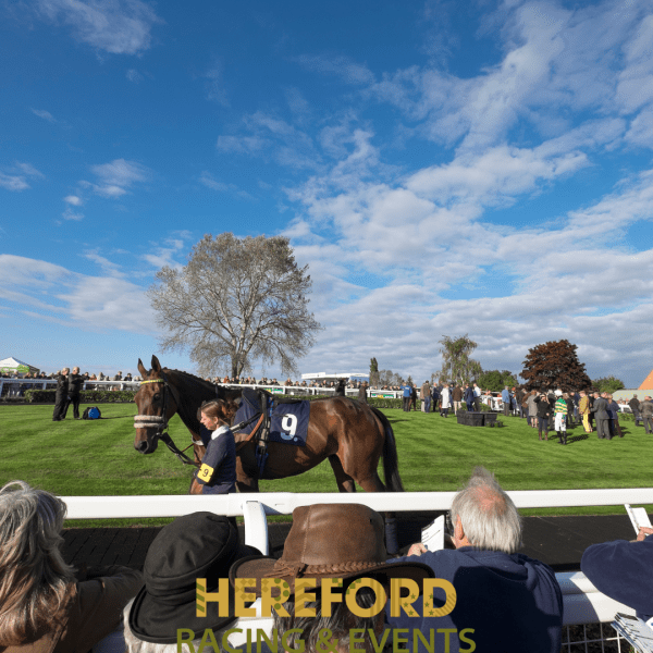 HALF PRICE Raceday at Hereford Racecourse on Wednesday 26th March | WAS £23 NOW £11.50 - Image 3