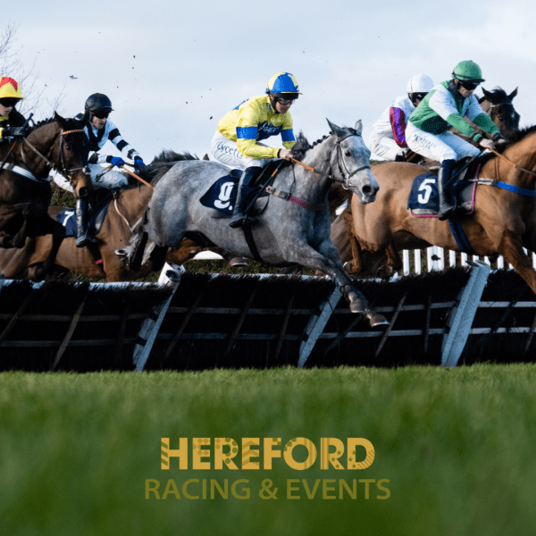 HALF PRICE Raceday at Hereford Racecourse on Wednesday 26th March | WAS £23 NOW £11.50