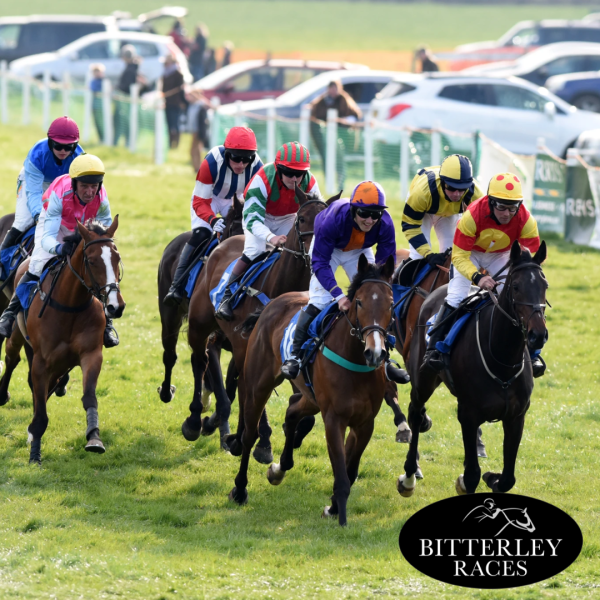 HALF PRICE Adult Ticket to Ludlow Point To Point (Bitterley Races) on Saturday April 5th | WAS £20 NOW £10