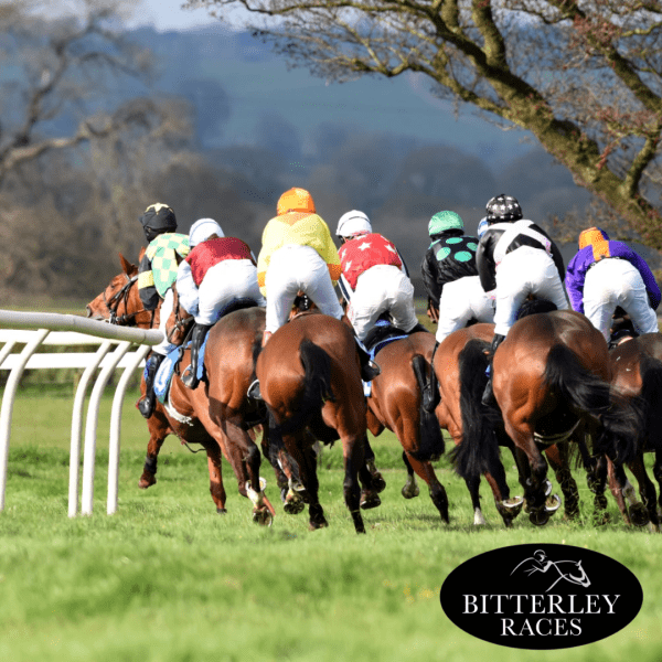 HALF PRICE Adult Ticket to Ludlow Point To Point (Bitterley Races) on Saturday April 5th | WAS £20 NOW £10 - Image 2