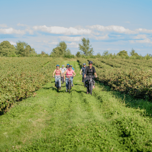 Half Price E-Bike Farm & Tasting Tour  of White Heron Estate, near Kington Was £50, NOW £25