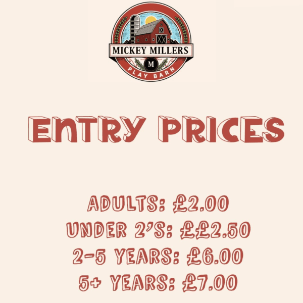 HALF PRICE Child + Adult Entry At Mickey Millers Playbarn | WAS £8 NOW £4 - Image 4