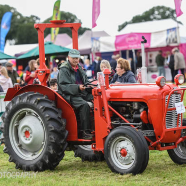 HALF PRICE Adult ticket to Kington Show 2025 | WAS £15 NOW £7.50 - Image 5