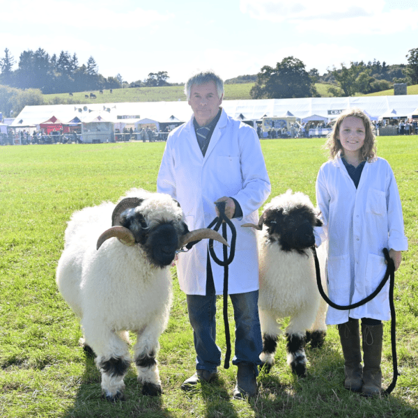 HALF PRICE Adult ticket to Kington Show 2025 | WAS £15 NOW £7.50 - Image 4