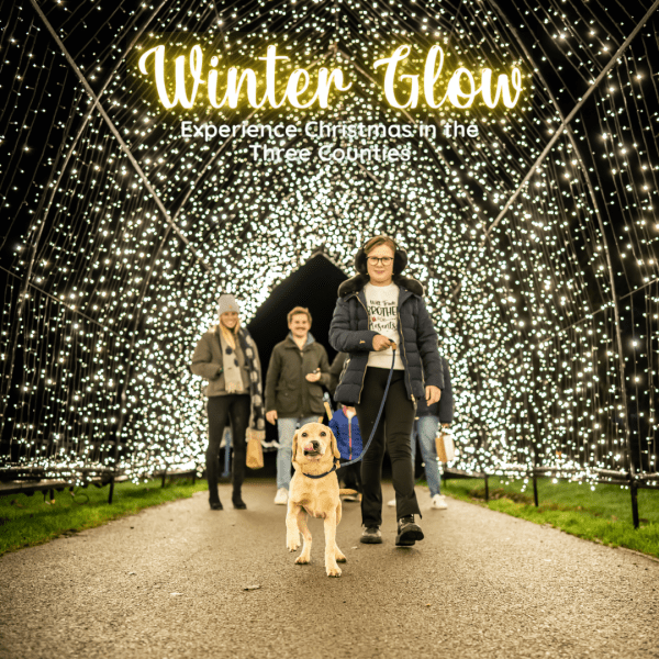 HALF PRICE Adult Ticket to Winter Glow 2025 at the Three Counties Showground, Malvern on Sunday 23rd November at 17:30pm | WAS £24.95 NOW £12.50