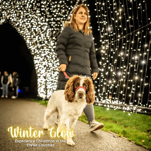 HALF PRICE Adult Ticket to Winter Glow 2025 at the Three Counties Showground, Malvern on Sunday 23rd November at 17:30pm | WAS £24.95 NOW £12.50 - Image 5