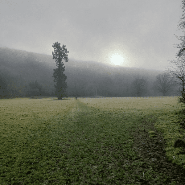 HALF PRICE Half Entry Ticket To The Midwinter Mortimer Trail - Image 3