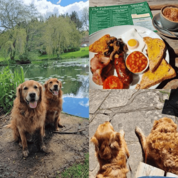 HALF PRICE Lunchtime Or Evening Meal Vouchers at The Fishermans Arms, Docklow Pools | WAS £30. NOW £15. - Image 5