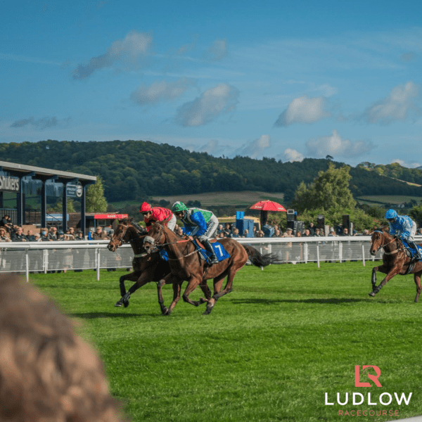 HALF PRICE HR Smith Raceday at Ludlow Racecourse on Thursday 23rd October