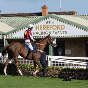 HALF PRICE Raceday at Hereford Racecourse on Wednesday the 10th December