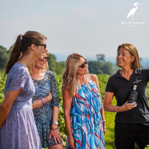Half Price Guided walking tour of White Heron Estate Vineyard with Drinks Tastings