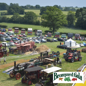 Half Price Child (5-16) Ticket To Bromyard Gala 2026
